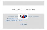 Consultonomic  feasibility report - 2016