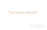 Sesión 7 de Mayo: Mama densa