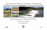 VNMC Mekong Dam Study: Modelling