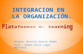 Integracion en la organización