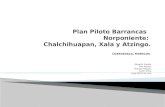 Plan piloto barrancas norponiente: Chalchihuapan, Xala y Atzingo @coesbio