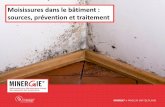 Moisissures dans le bâtiment : sources, prévention et traitement - Joelle Goyette Pernot