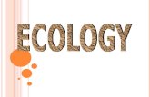 Ecology Lec 07 2016