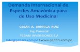 Demanda Internacional de Especies Amazónica Para de Uso ...