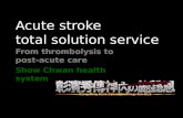 Acute stroke total solution service