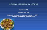 Edible Insects in China