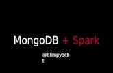 MongoDB & Spark