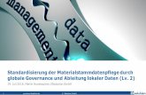 Standardisierung der Materialstammdatenpflege durch globale Governance und Ableitung lokaler Daten (Level 2)