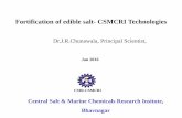 Dfs csir csmcri technologies- Dr J R Chunawala