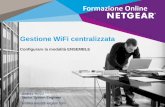 Webinar NETGEAR - La gestione wireless centralizzata con la modalità Ensemble