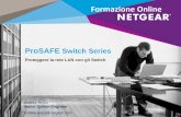 Webinar NETGEAR Prosafe Switch, la sicurezza della LAN