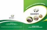 Mẫu Thiết kế Brochure công ty Darby