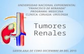 Tumores renales
