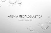 Anemia megaloblastica por deficit de b9 y b12