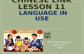 Chinese Link Lesson 11 language in use