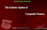 The Esthetic Option of Composite Veneers