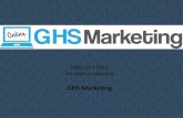 GHS Marketing Brand Optimization Service PowerPoint