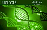 Organismos geneticamente modificados - Biologia