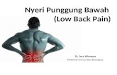 Nyeri Punggung Bawah (Low Back Pain)