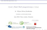 Uvod v Bash Shell programiranje v Linux