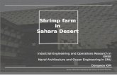 Shrimp Farm in Sahara