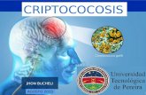 Criptococosis - VIH