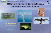 Offshore-Windparks und Marikultur