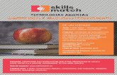 e-Skills Match Project Factsheet (Spanish version)