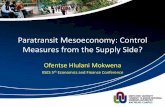 Paratransit Mesoeconomy- MOKWENA