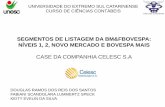 CASE DA CELESC SA NO NÍVEL DO DA BM&FBOVESPA