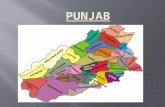 Punjab Pakistan.