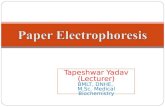Paper electrophoresis