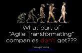 What part of "Agile Transformating" companies don't get???