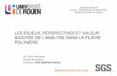 Cours conférence Yvon Gervaise à l'Université de Rouen Master 2 chimie polymères
