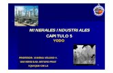 Cap 5 minerales_industriales
