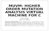 MuVM: Higher Order Mutation Analysis Virtual Machine for C