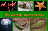 Els animals Invertebrats