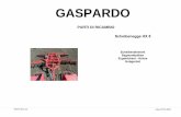 Gaspardo Ricambi 10 hx 8