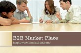 B2 b market place