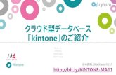 MA11 kintone