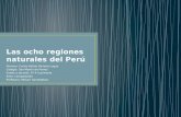 3. las ocho regiones naturales del perú