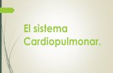 Sistema cardiopulmonar