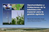 Oportunidades y limitaciones de la teledetección espacial para la gestión agrícola