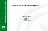 Aprovechamientos maderables