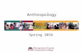 Anthropology Spring 2016