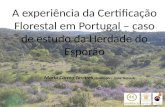 A experiência da certificação florestal em Portugal – Caso de estudo: Herdade do Esporão.