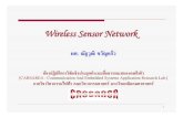 Wireless sensor network wireless network