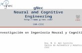 Investigación en Ingeniería Neural y Cognitiva - Dra. Mª Dolores del Castillo Sobrino