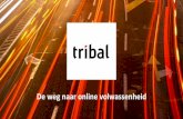Tribal Internet Group - De weg naar online volwassenheid (e-travel summit 2015)
