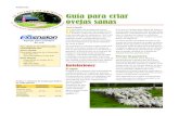 Guía para criar ovejas sanas